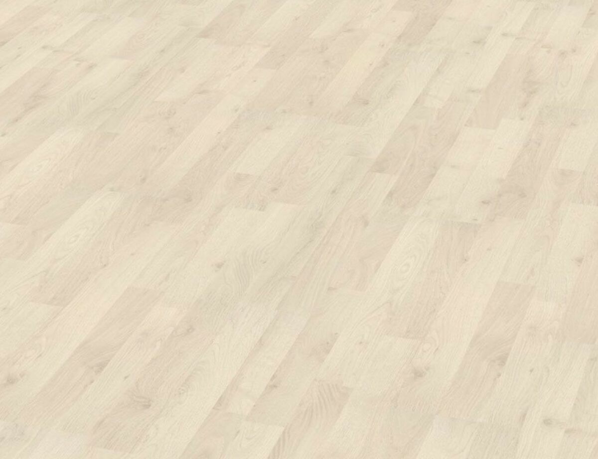 Bild 1 von CLEO Basic Polareiche