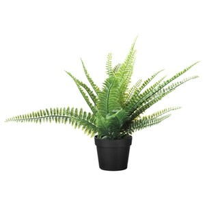 FEJKA
              
                Topfpflanze, künstlich, drinnen/draußen Farn, 9 cm