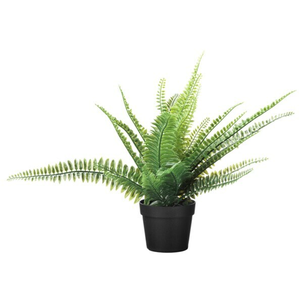 Bild 1 von FEJKA
              
                Topfpflanze, künstlich, drinnen/draußen Farn, 9 cm