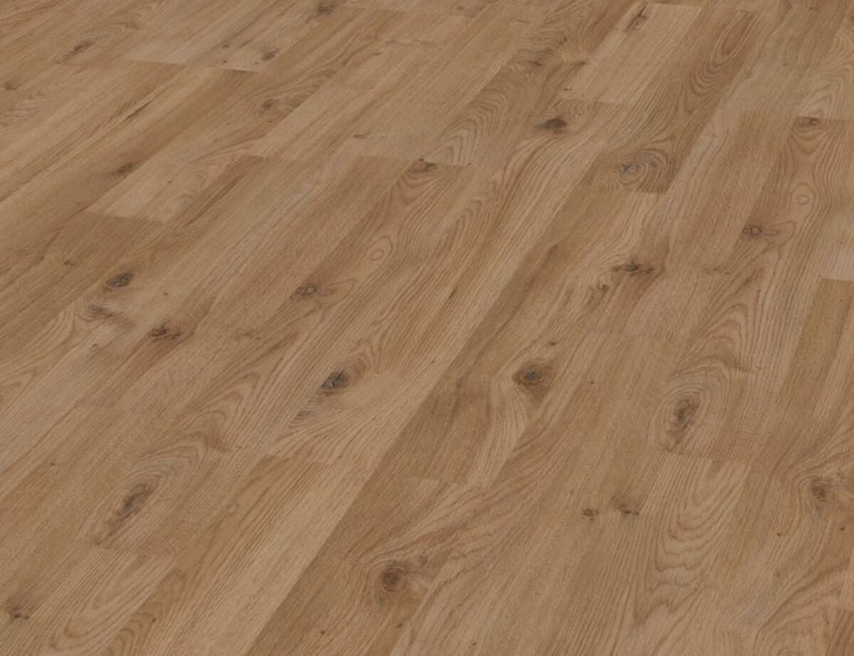 Bild 2 von WIRA - Wintereiche-natur