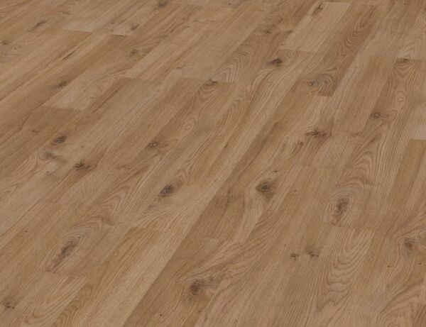 Bild 2 von WIRA - Wintereiche-natur