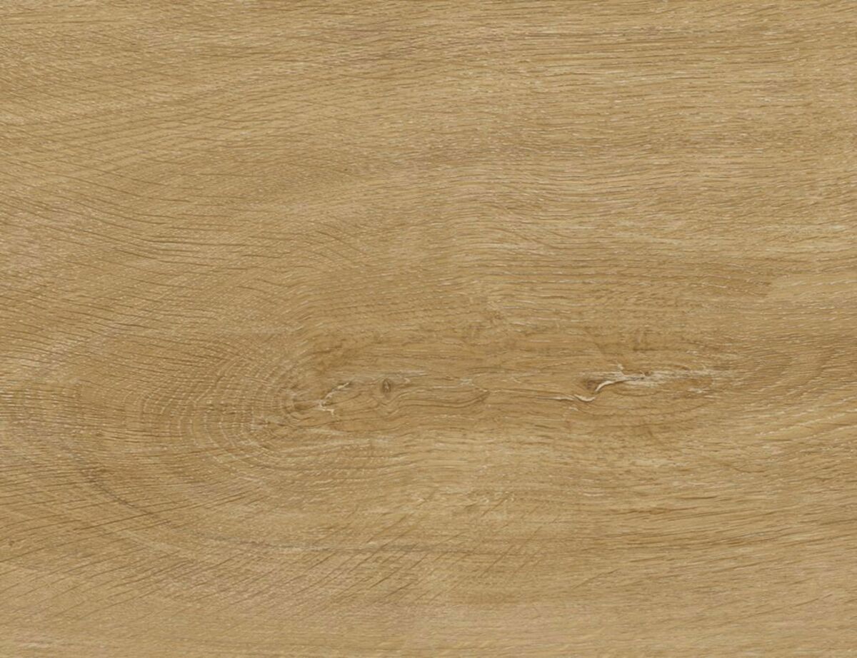 Bild 2 von EGON - Eiche Natur