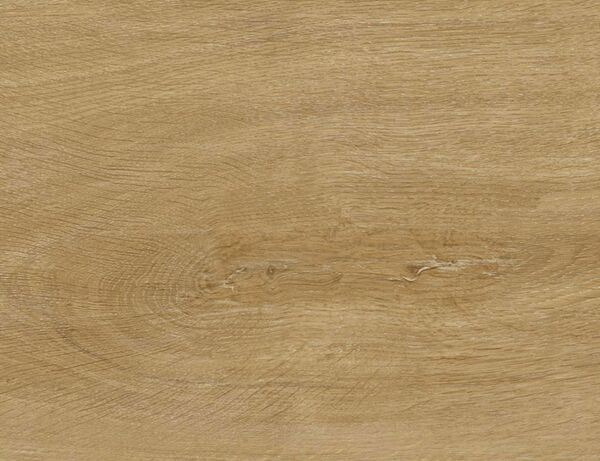 Bild 2 von EGON - Eiche Natur