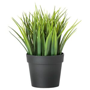 FEJKA
              
                Topfpflanze, künstlich, drinnen/draußen Gras, 9 cm