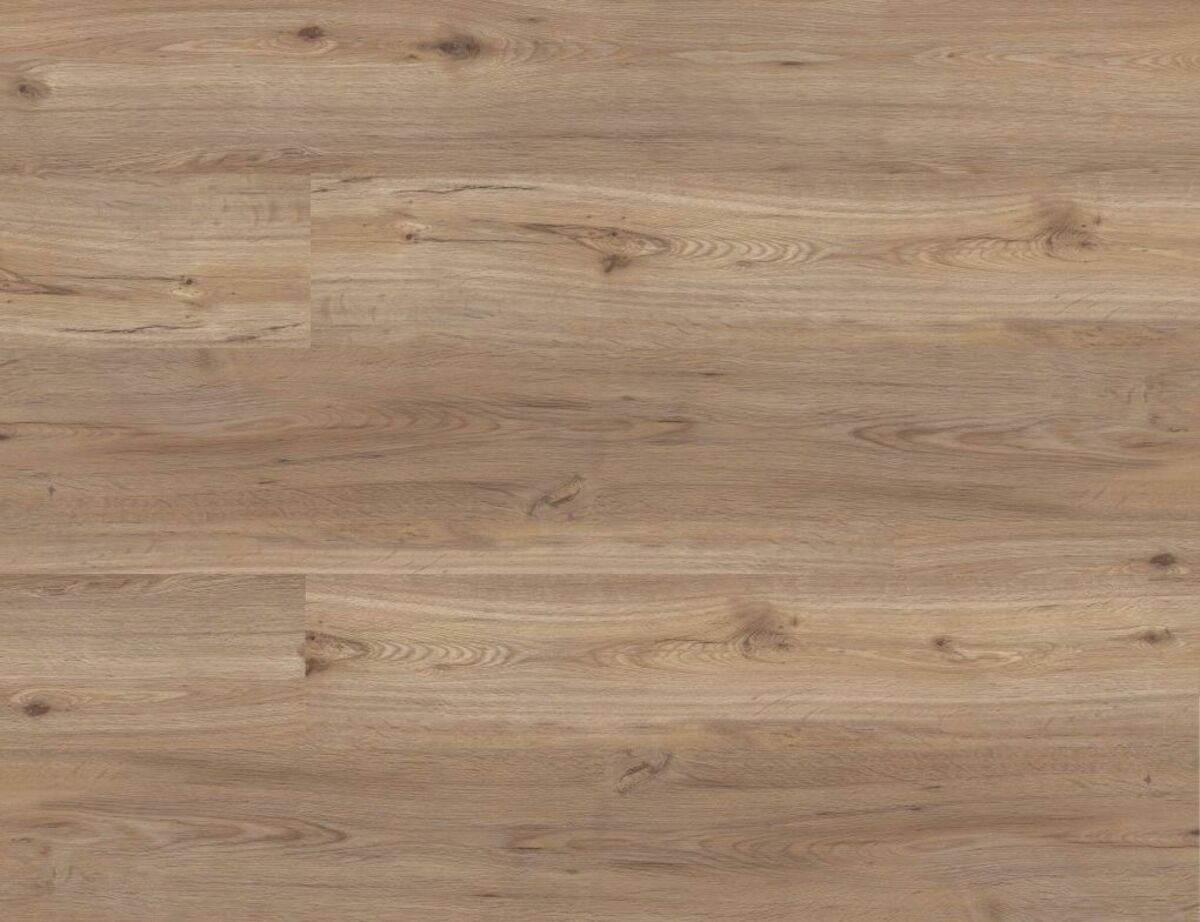 Bild 1 von Dryback 20-03 Eiche Klassik