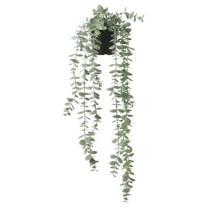 FEJKA Topfpflanze, künstlich, drinnen/draußen hängend/Eukalyptus