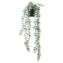 Bild 1 von FEJKA Topfpflanze, künstlich, drinnen/draußen hängend/Eukalyptus