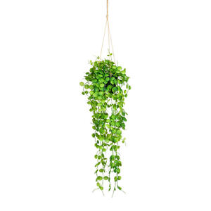 Kunstpflanze, Grün, Kunststoff, 70 cm, inkl. Topf, Dekoration, Blumen & Zubehör, Kunstpflanzen