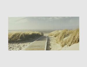 Bild Ein Weg durch Strand Dünen