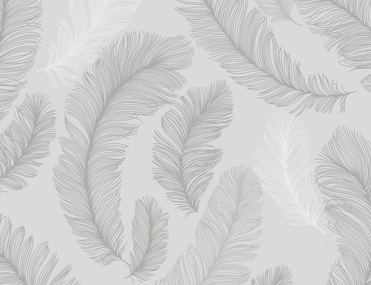 Bild 1 von Vliestapete Graue Feder