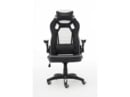 Bild 1 von RAPTOR GAMING GS-50 RG-GS50 black/white Gaming-Stuhl, Black / White, Black / White