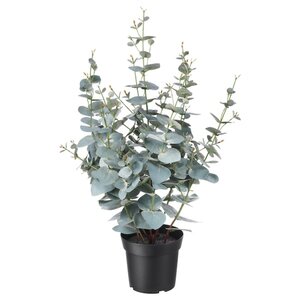 FEJKA Topfpflanze, künstlich, drinnen/draußen Eukalyptus