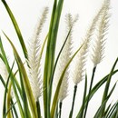 Bild 4 von FEJKA
              
                Topfpflanze, künstlich, drinnen/draußen Dekoration, Gras, 9 cm