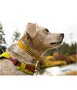 Bild 3 von RUFFWEAR® Hundehalsband Hi & Light™ Collar Lichen Green