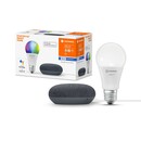 Bild 1 von Ledvance Google Home Mini Starter-Set Speaker Schwarz + Filament Leuchtmittel