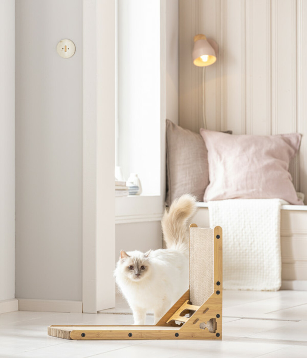 Bild 4 von Dehner Lieblinge Kratzpappe Amado, ca. B60/H40/T25 cm