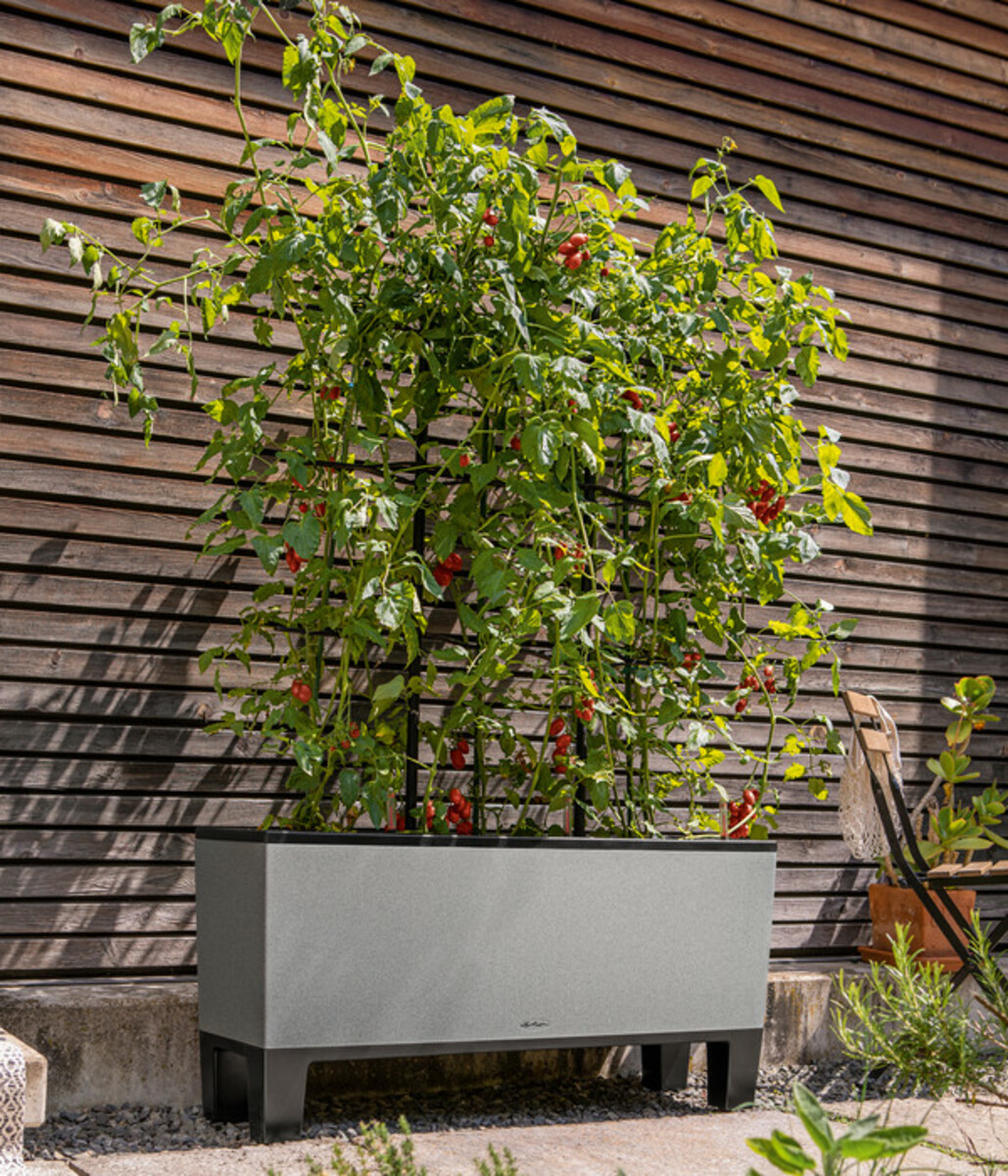 Bild 2 von LECHUZA® Kunststoff-Kasten Trio Stone inkl. Pflanzeinsatz, rechteckig, ca. B132,5/H46,5/44,5T cm