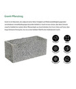 Bild 3 von Granit-Pflanztrog, grau
