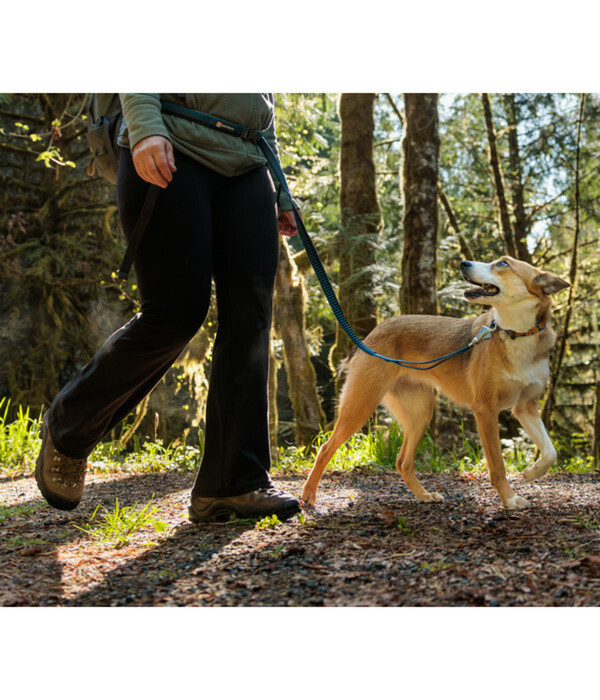 Bild 2 von RUFFWEAR® Bungee Joggingleine Roamer™, Orion Blue, L
