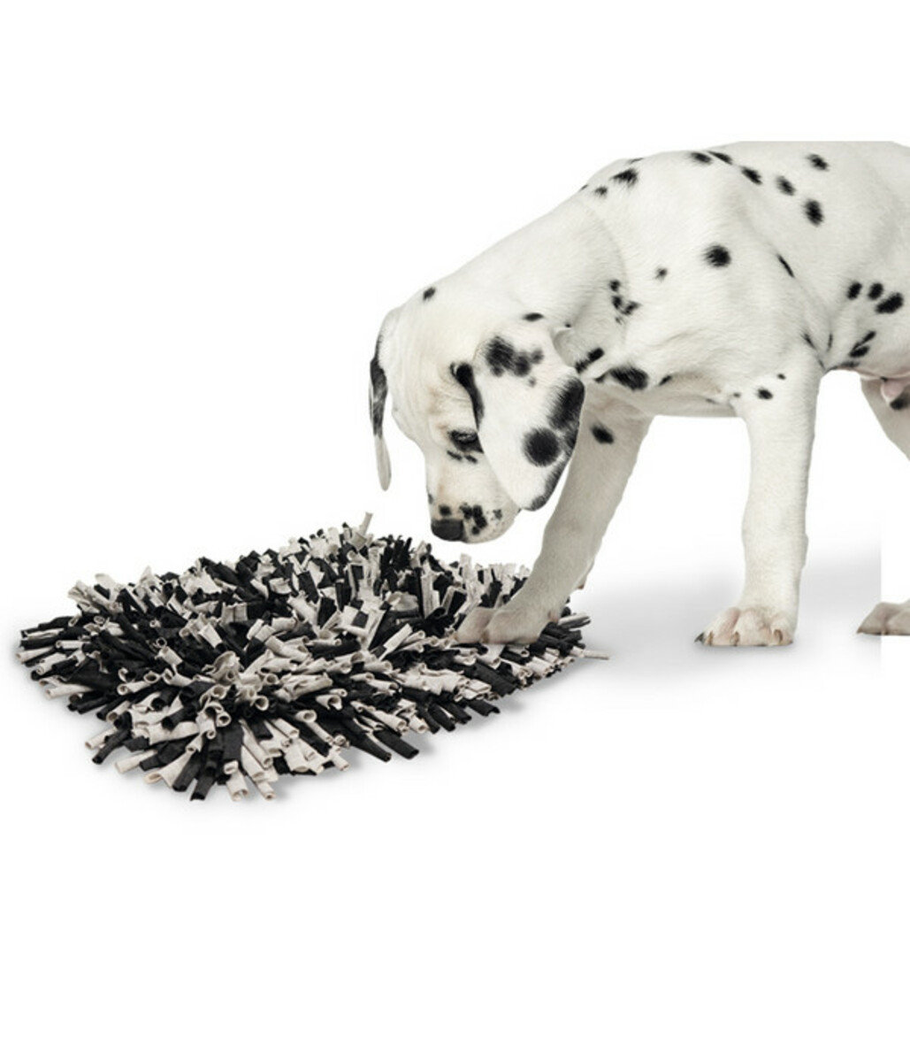 Bild 3 von Nobby Schnüffelmatte, grau-schwarz, ca. B56/H5/T44 cm