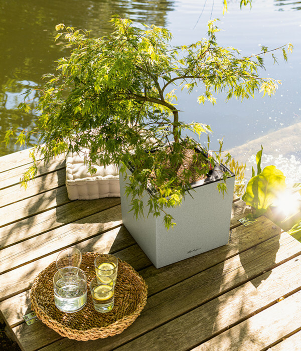 Bild 2 von LECHUZA® Kunststoff-Topf Canto Stone LED inkl. Pflanzeinsatz, rechteckig