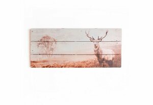 Art for the home Holzbild Stag, Hirsche