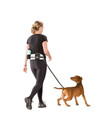 Bild 2 von Europet Bernina D&D Sports Active Walker