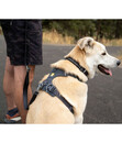 Bild 2 von RUFFWEAR® Hundegeschirr Front Range®, Basalt Gray, S