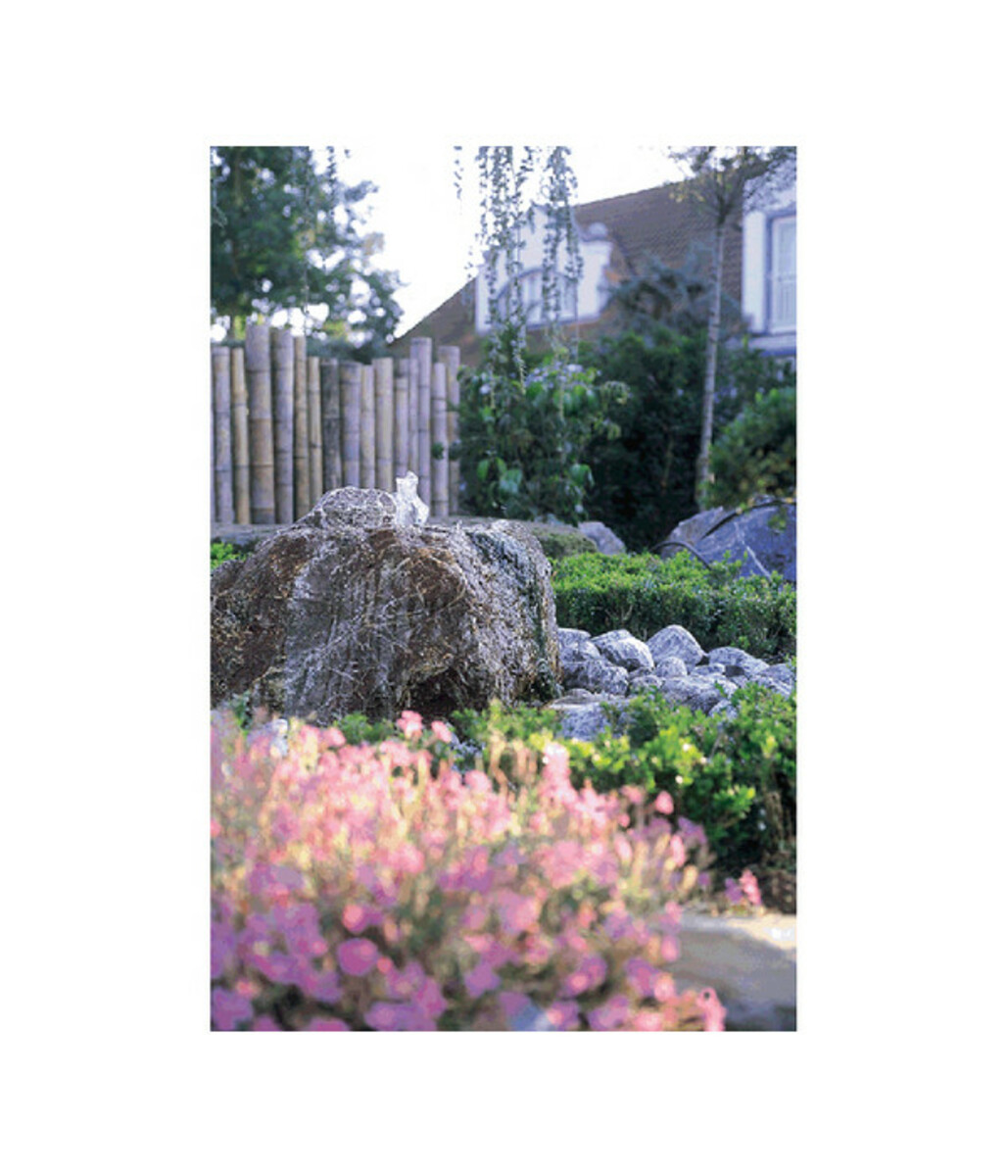 Bild 4 von Oase Teichpumpe Aquarius Universal 600