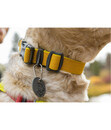 Bild 4 von RUFFWEAR® Hundehalsband Hi & Light™ Collar Lichen Green