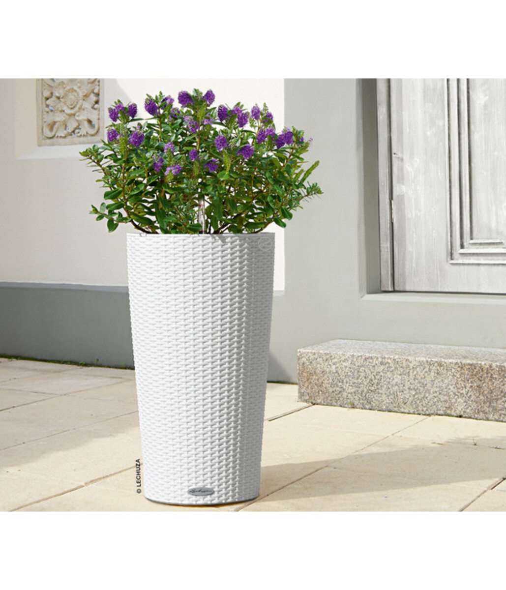 Bild 2 von LECHUZA® Kunststoff-Säule Cilindro Cottage inkl. Pflanzeinsatz, konisch
