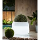 Bild 1 von XXXLutz Led-blumentopf weiß  Camelia 60 Light  59x39 cm