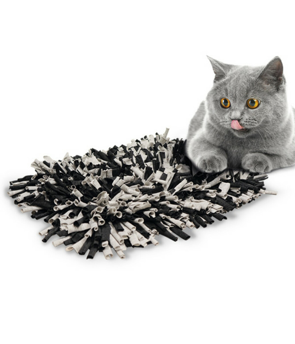 Bild 2 von Nobby Schnüffelmatte, grau-schwarz, ca. B56/H5/T44 cm