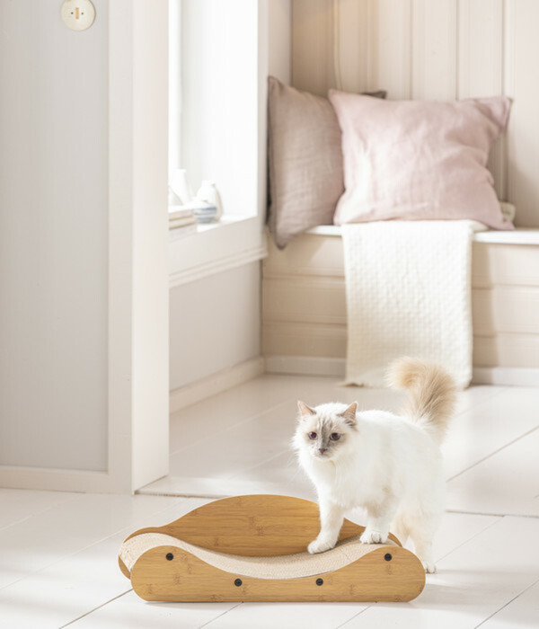 Bild 4 von Dehner Lieblinge Kratzpappe Carino, ca. B59/H18/T24 cm