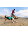 Bild 4 von RUFFWEAR® Hundegeschirr Hi & Light™ Harness 2.0 Sage Green