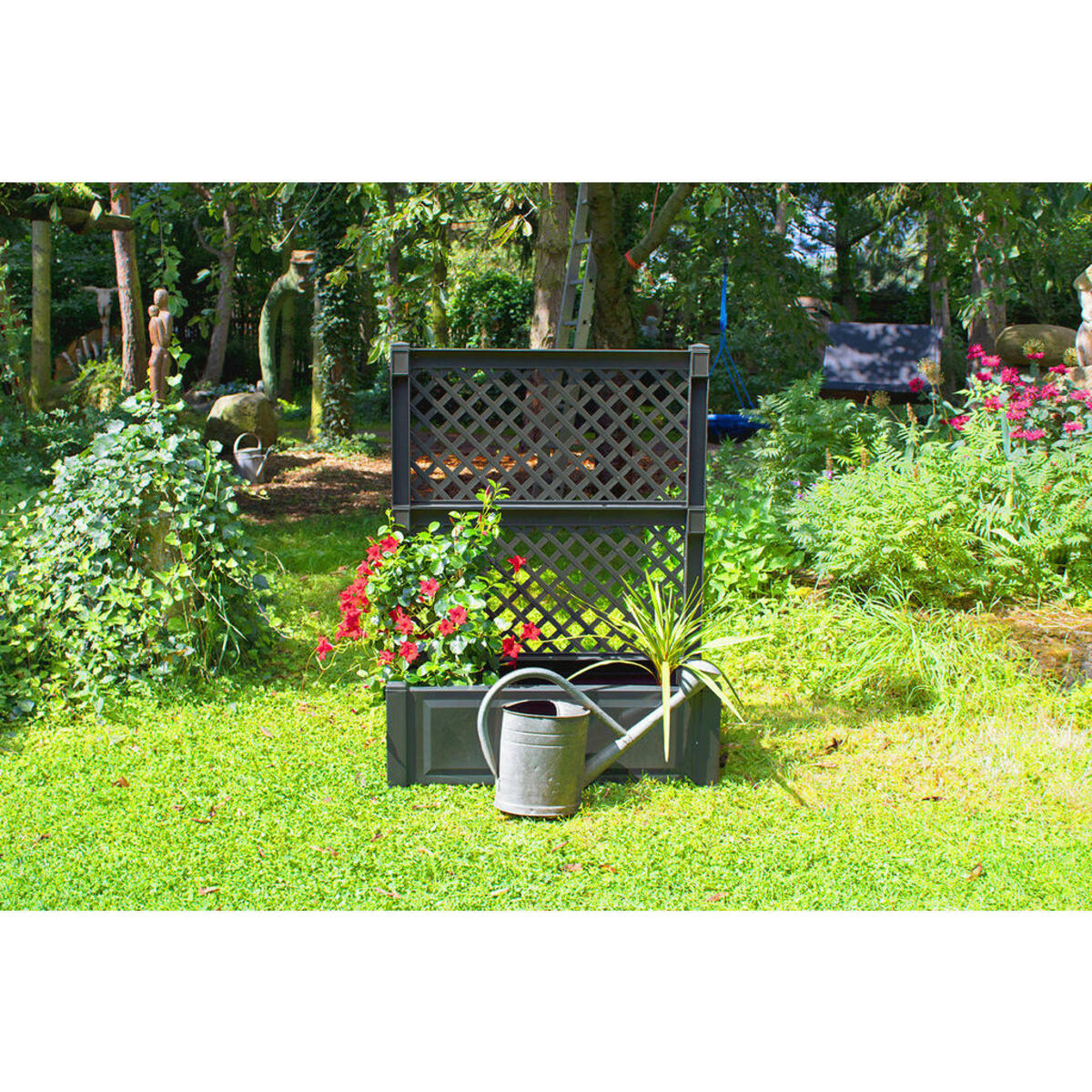 Bild 1 von Pflanzkasten und Spalier anthrazit