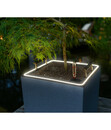 Bild 3 von LECHUZA® Kunststoff-Topf Canto Stone LED inkl. Pflanzeinsatz, rechteckig