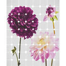 Bild 1 von Komar Vliestapete  6006A-Vd2 Flowers & Dots  Blume