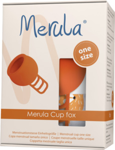 Merula Cup fox