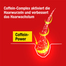 Bild 3 von Alpecin Coffein Liquid Hair Energizer 2.50 EUR/ 100 ml