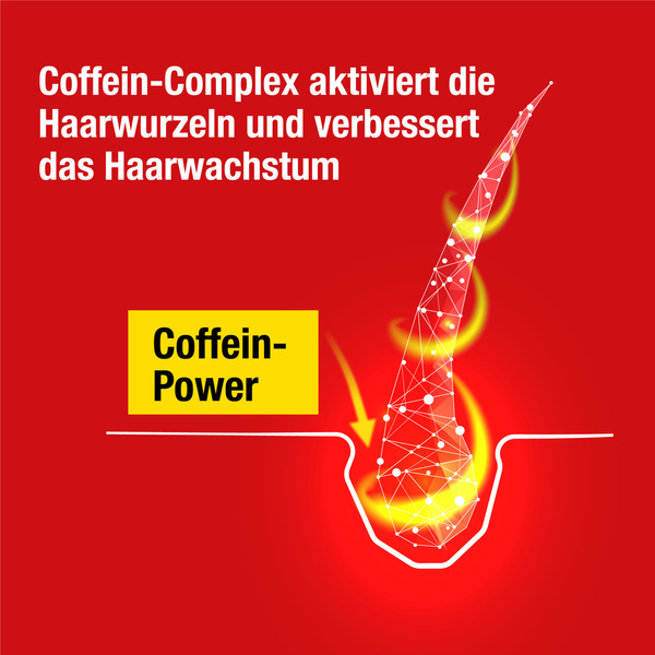 Bild 3 von Alpecin Coffein Liquid Hair Energizer 2.50 EUR/ 100 ml