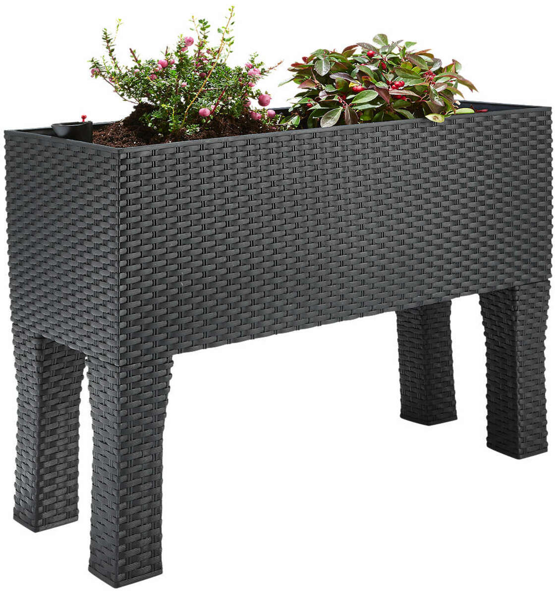 Bild 1 von Hochbeet 2 in 1