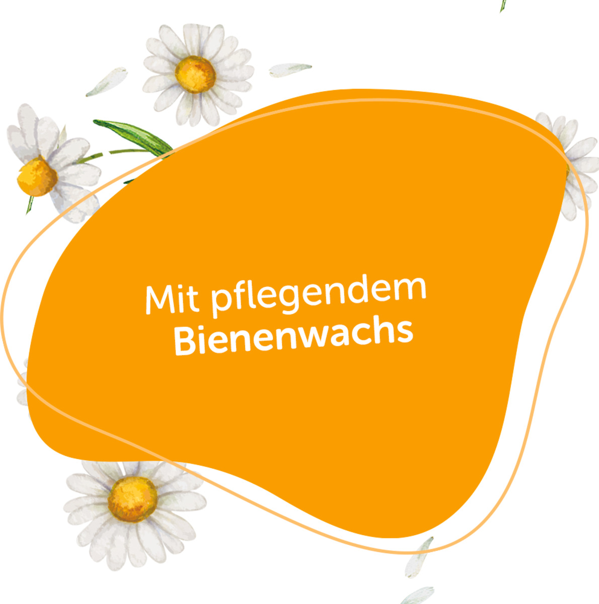 Bild 3 von Alterra Lippenpflege "Bio-Kamille"