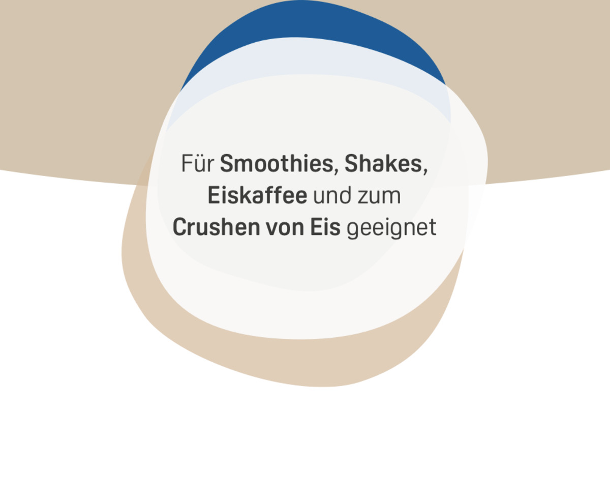 Bild 4 von IDEENWELT Best Basics Smoothie-Maker