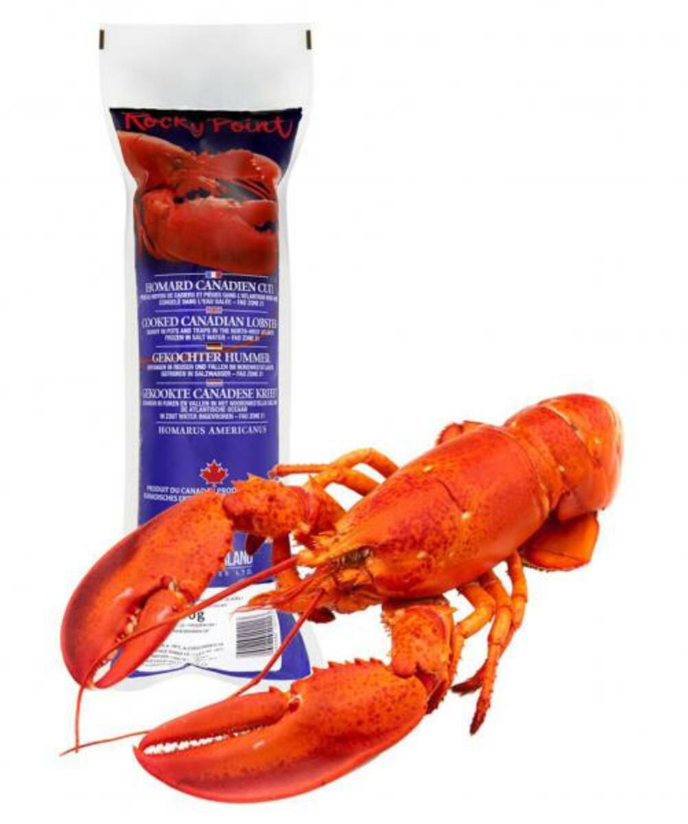 Bild 1 von Rocky Point Gekochter Hummer im Eisblock