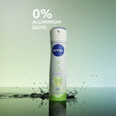 Bild 3 von NIVEA Deodorant Spray Fresh Pure