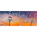 Bild 1 von Euroart Glasbild blumen soft dandelion viii  Gb-Bmg1035  Mehrfarbig