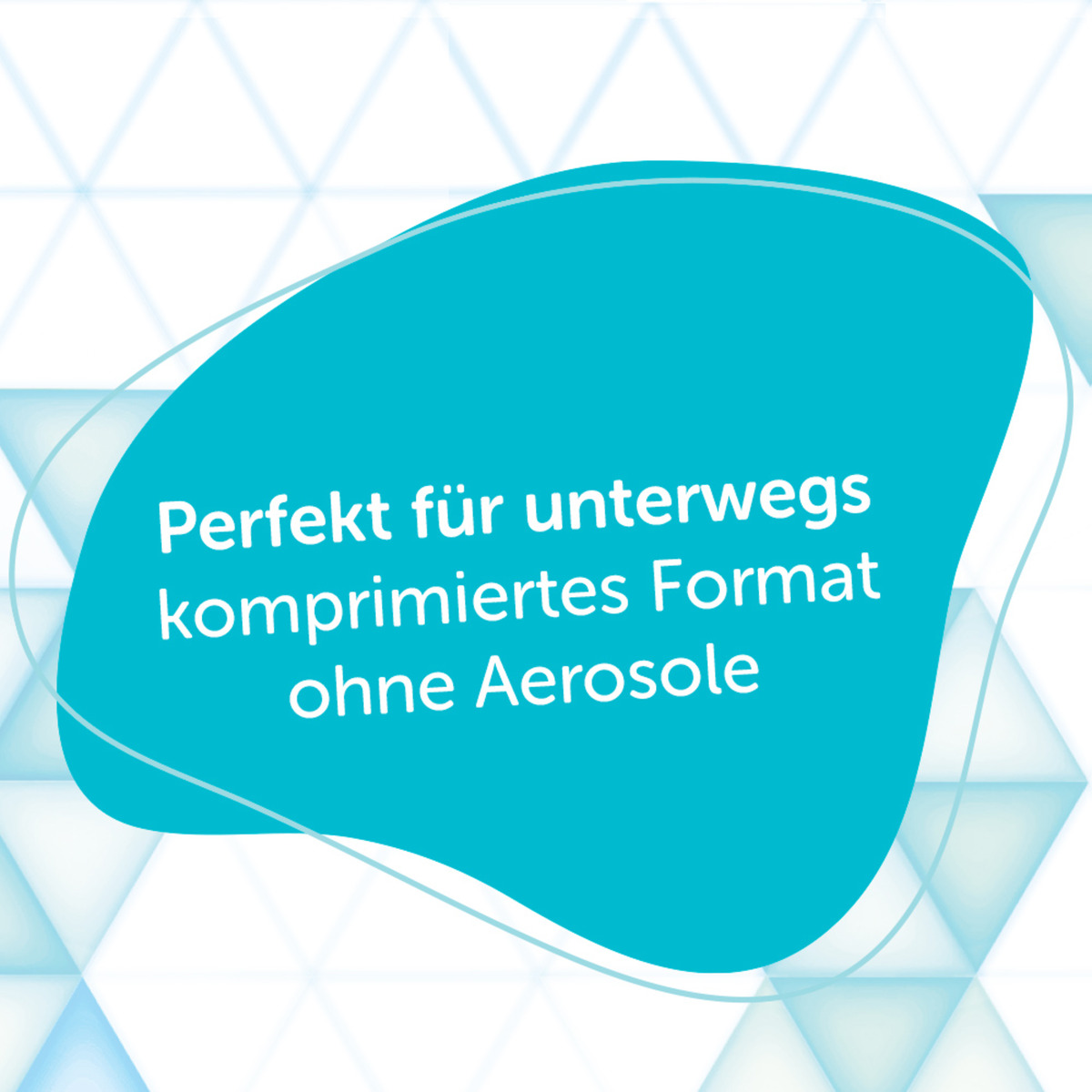 Bild 4 von Alterra Trockenshampoo