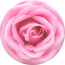Bild 1 von PopSockets PopGrip Rose All Day
