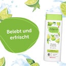 Bild 3 von Alterra Duschgel "Bio-Limette & Bio-Agave"